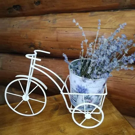 Rustic Balea