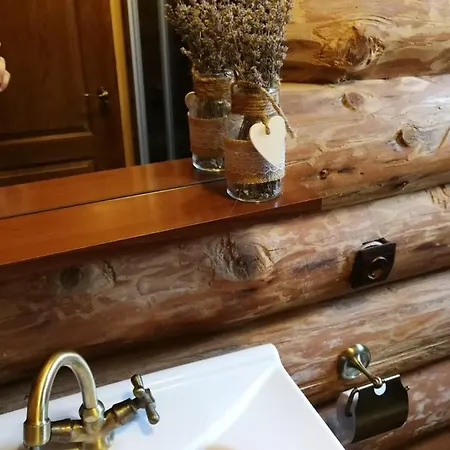 Rustic Balea Cîrţişoara
