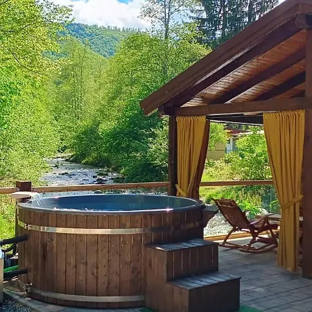 Rustic Balea 펜션 Cîrţişoara