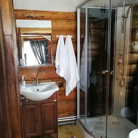 펜션 Rustic Balea Cîrţişoara