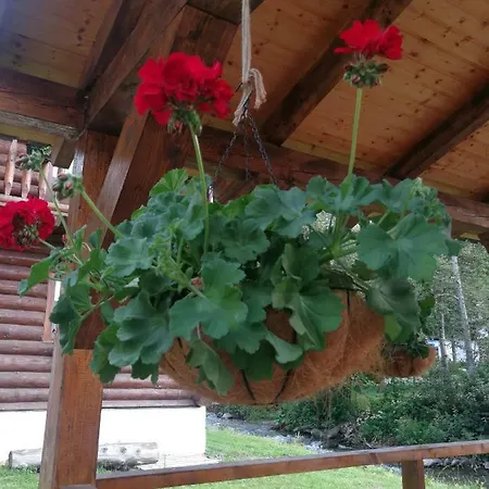 Rustic Balea Holiday home *